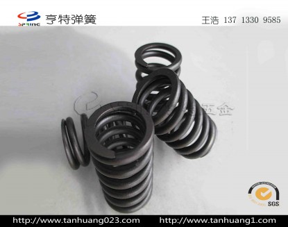 汽车张紧轮压力弹簧