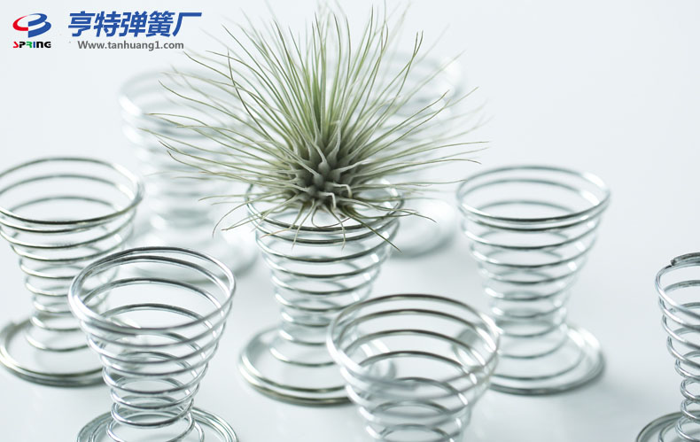 空气凤梨弹簧花托 空凤支架线圈弹簧