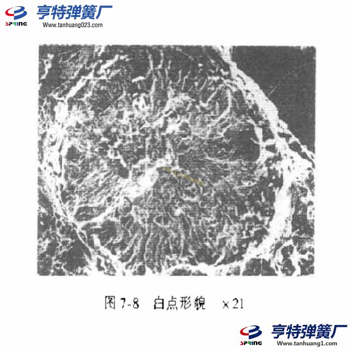 弹簧材料中的白点的氢脆现像