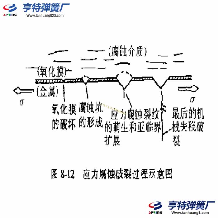 弹簧应力腐蚀破裂过程